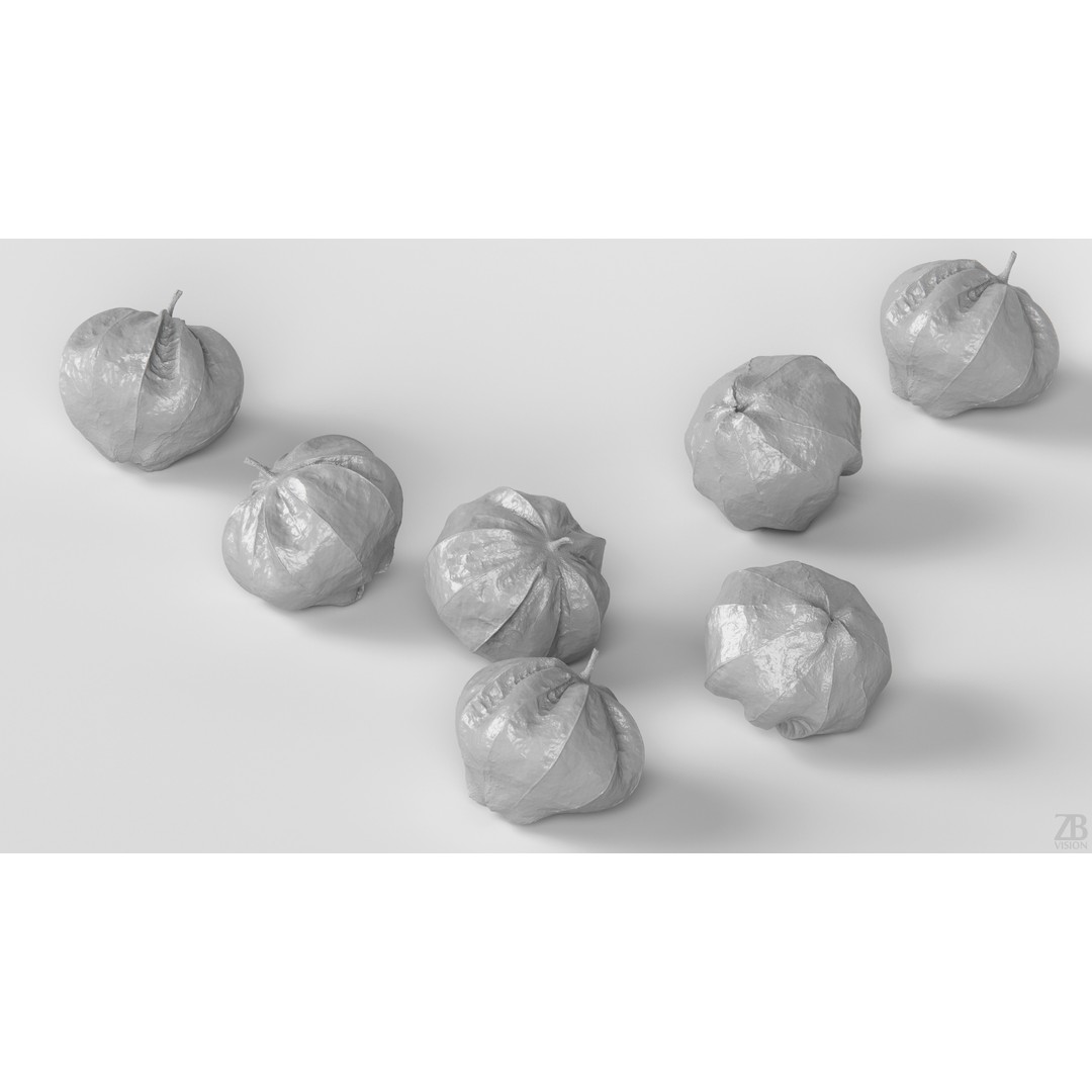 Tomatillo 3D Model – High Poly PBR Vegetable Asset, FBX/OBJ - View 5
