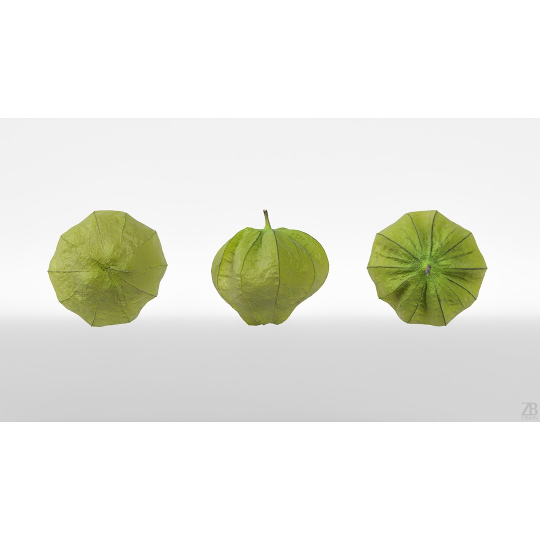 Tomatillo 3D Model – High Poly PBR Vegetable Asset, FBX/OBJ - View 6