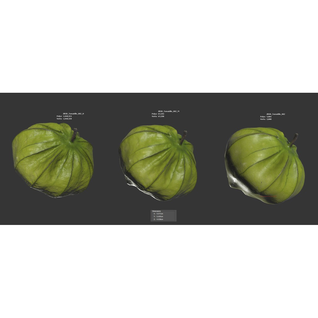 Tomatillo 3D Model – High Poly PBR Vegetable Asset, FBX/OBJ - View 7