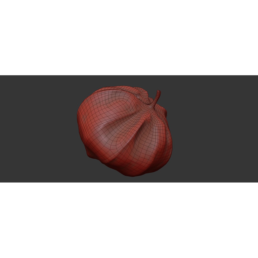 Tomatillo 3D Model – High Poly PBR Vegetable Asset, FBX/OBJ - View 8