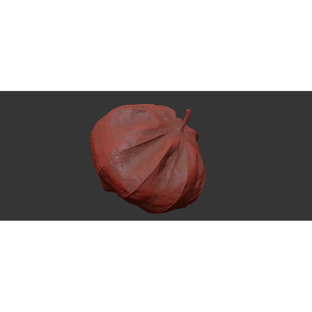 Tomatillo 3D Model – High Poly PBR Vegetable Asset, FBX/OBJ - View 9