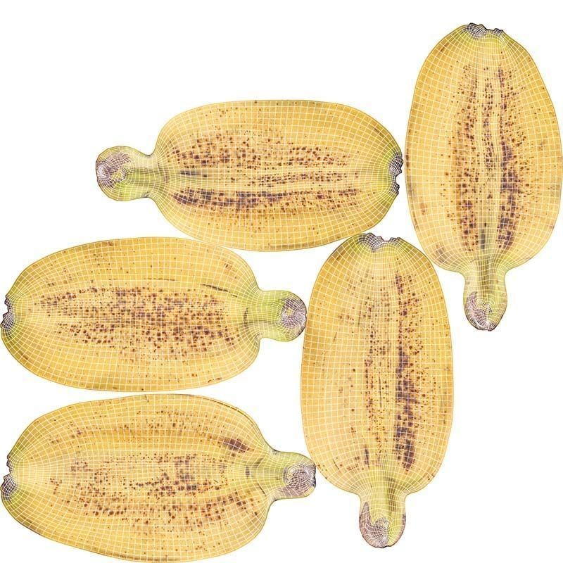 Banana Bunch 3D Model – Low Poly Game Asset, FBX, PBR Textures - View 16