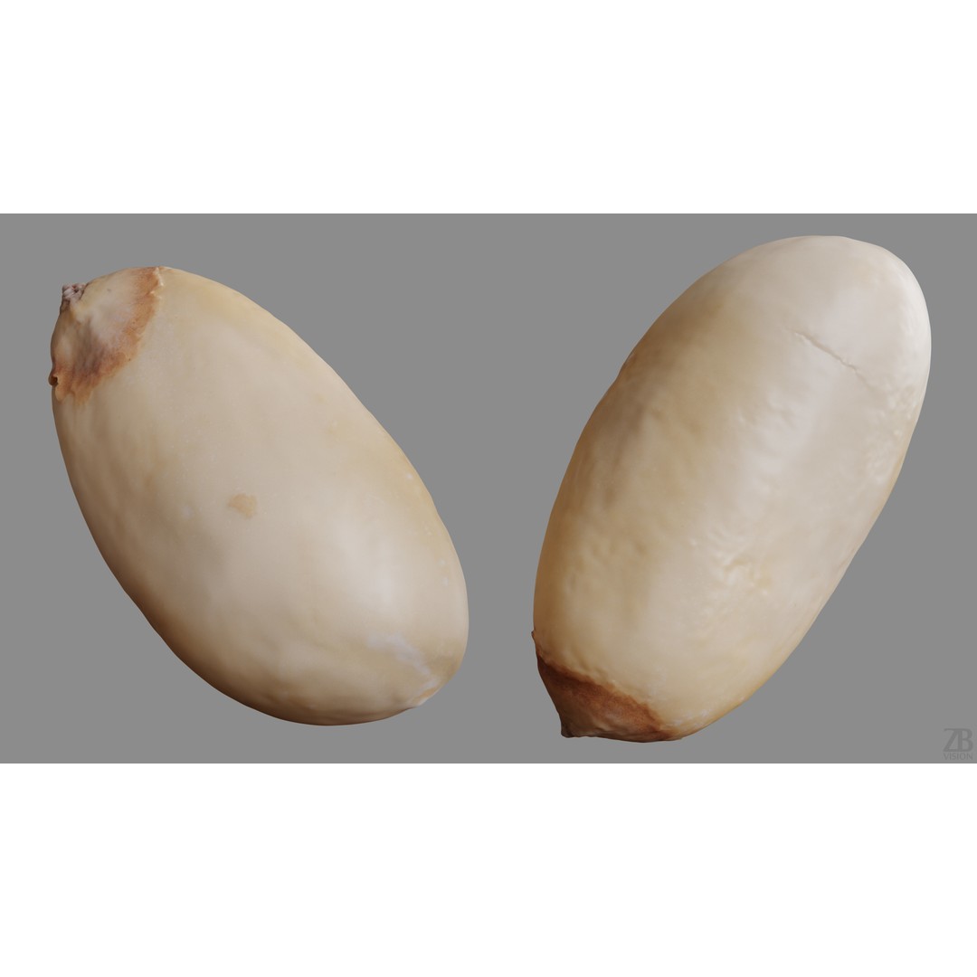 Pine Seed 3D Model – Photorealistic PBR Asset, FBX Format