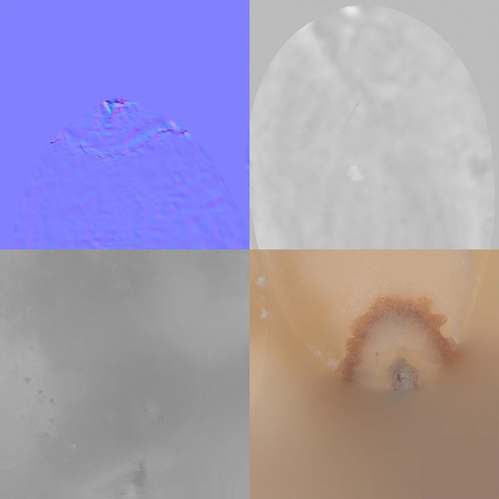 Pine Seed 3D Model – Photorealistic PBR Asset, FBX Format - View 10