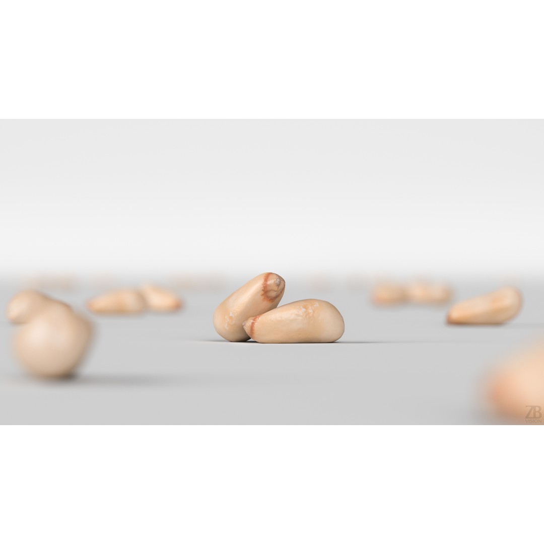 Pine Seed 3D Model – Photorealistic PBR Asset, FBX Format - View 3