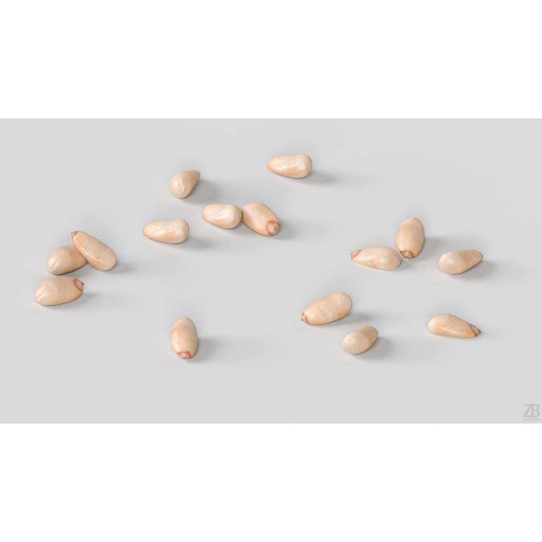 Pine Seed 3D Model – Photorealistic PBR Asset, FBX Format - View 4