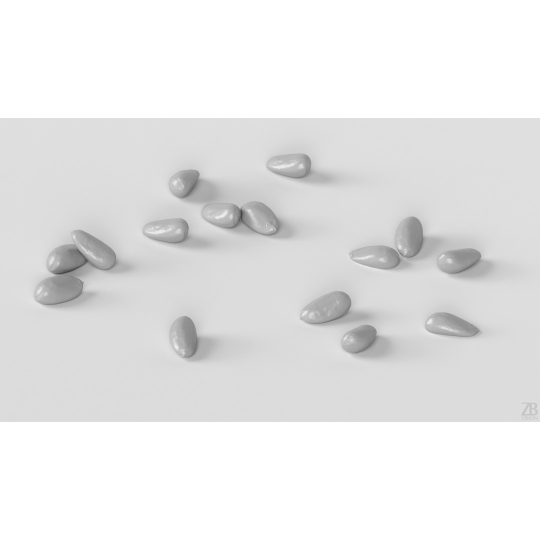 Pine Seed 3D Model – Photorealistic PBR Asset, FBX Format - View 5