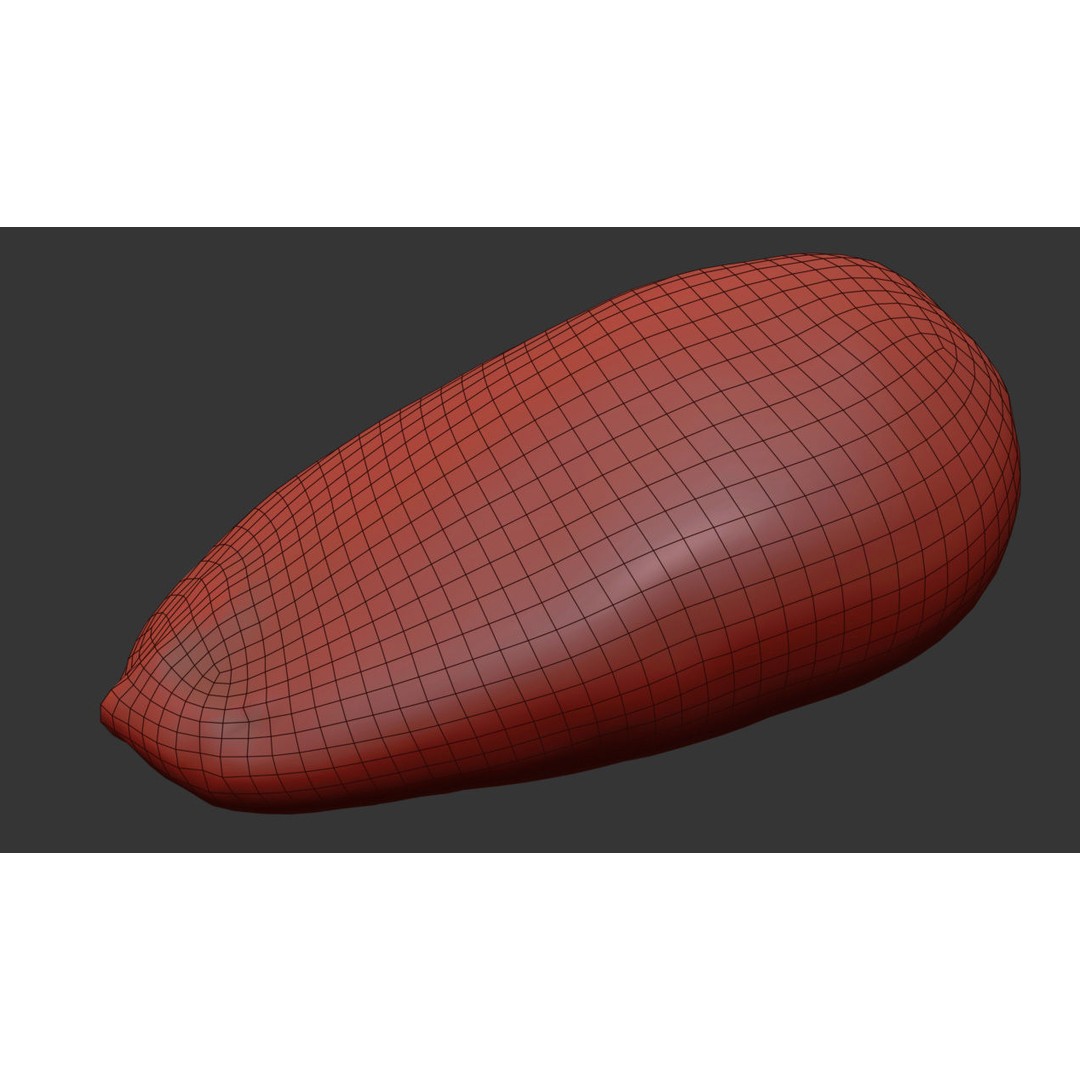 Pine Seed 3D Model – Photorealistic PBR Asset, FBX Format - View 8