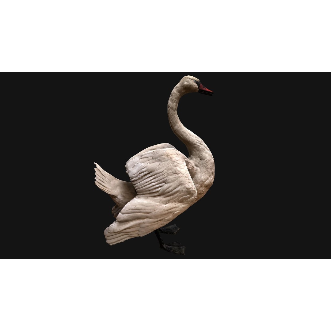 Swan 3D Model – Low Poly Game Asset, PBR Textures, FBX - View 11