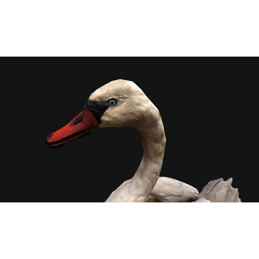 Swan 3D Model – Low Poly Game Asset, PBR Textures, FBX - View 14