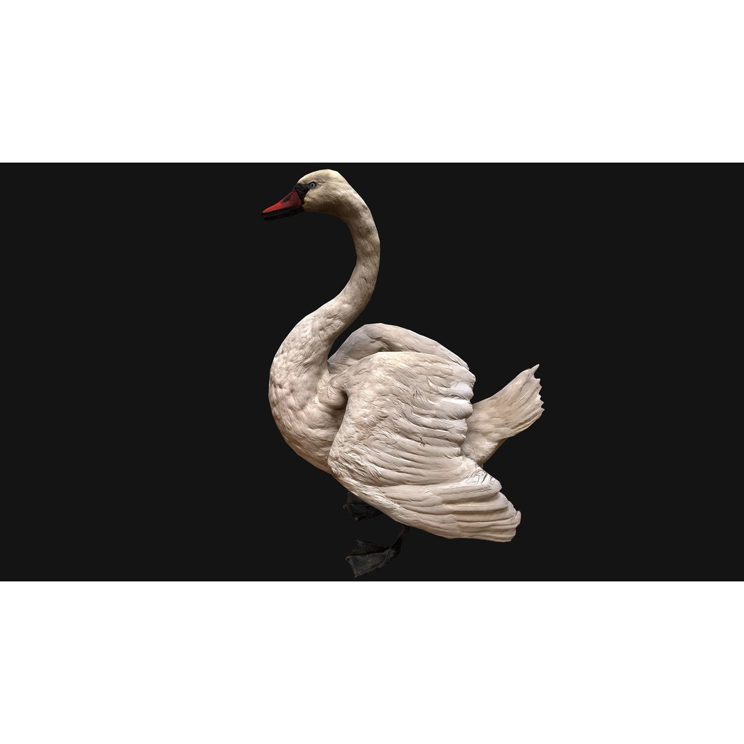 Swan 3D Model – Low Poly Game Asset, PBR Textures, FBX - View 5