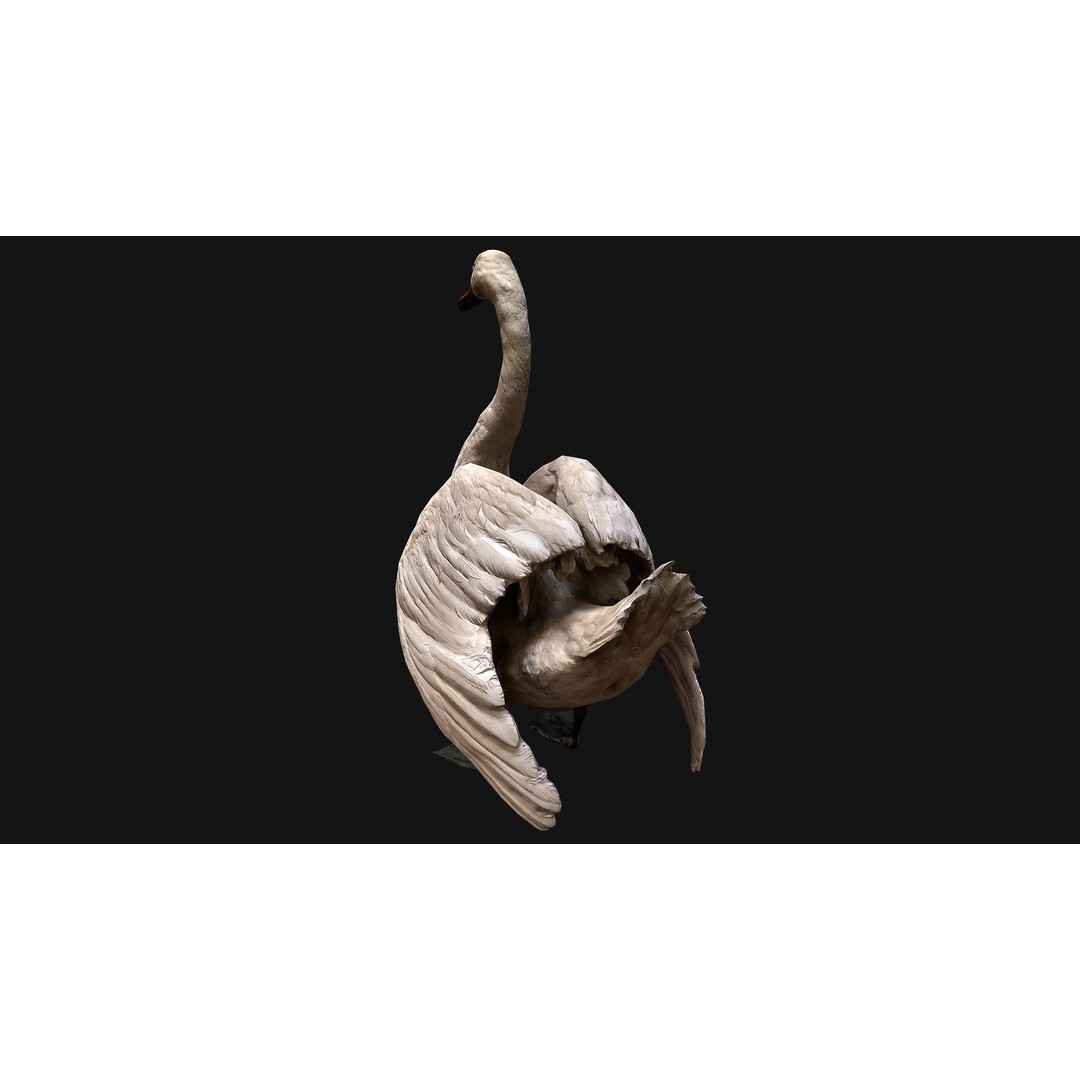 Swan 3D Model – Low Poly Game Asset, PBR Textures, FBX - View 7