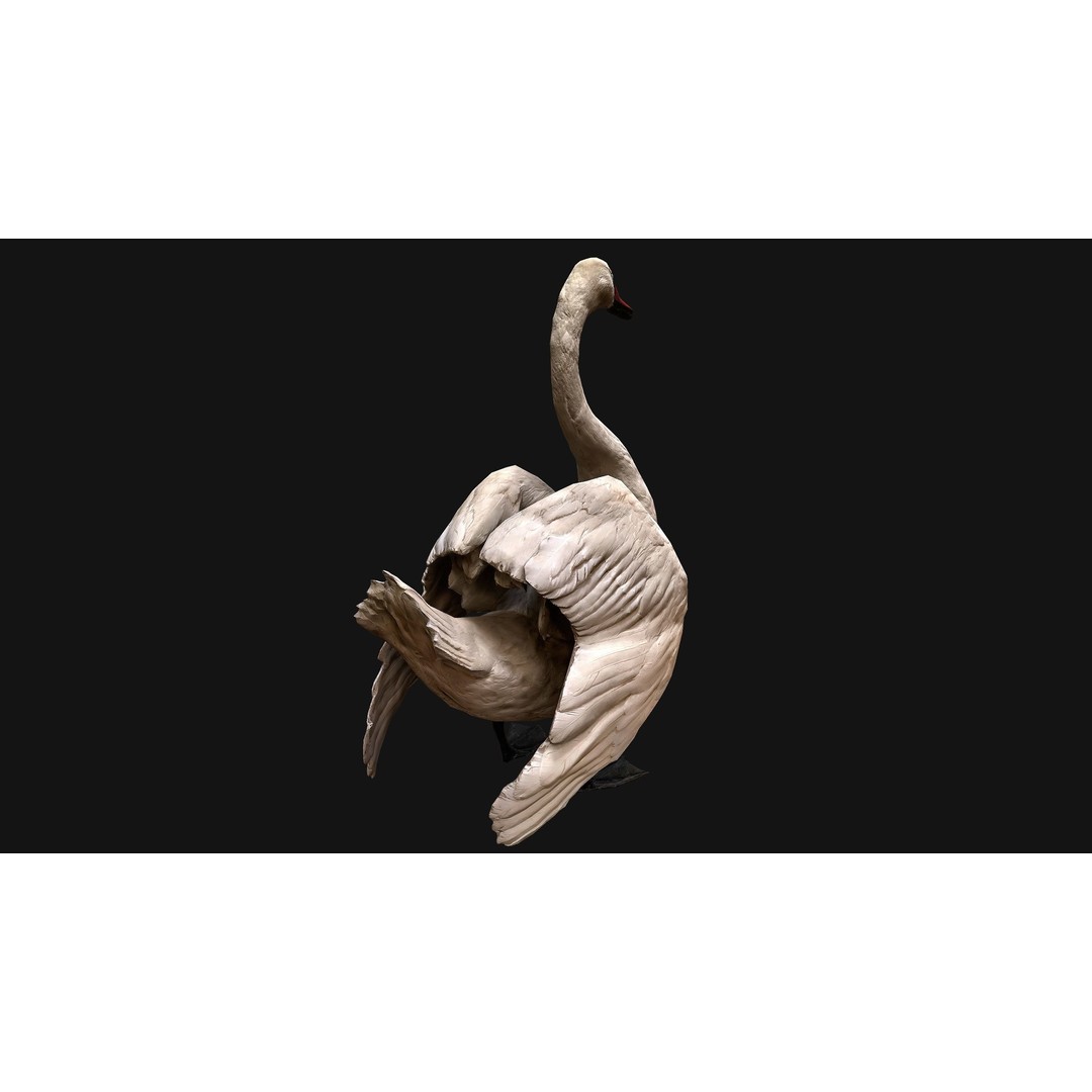 Swan 3D Model – Low Poly Game Asset, PBR Textures, FBX - View 9