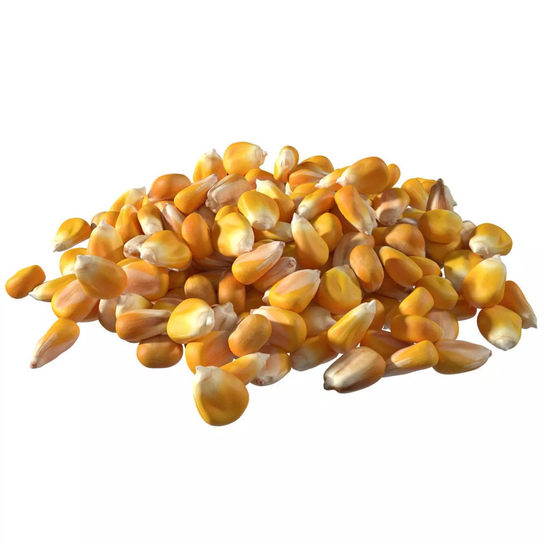 Coriander Seed Pile 3D Model – Low Poly Game Asset, Blender, FBX, OBJ - View 2