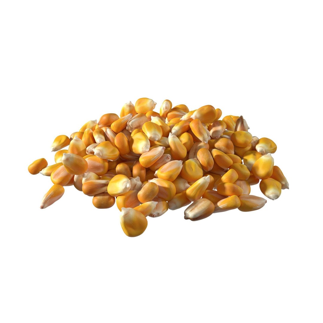 Coriander Seed Pile 3D Model – Low Poly Game Asset, Blender, FBX, OBJ - View 3