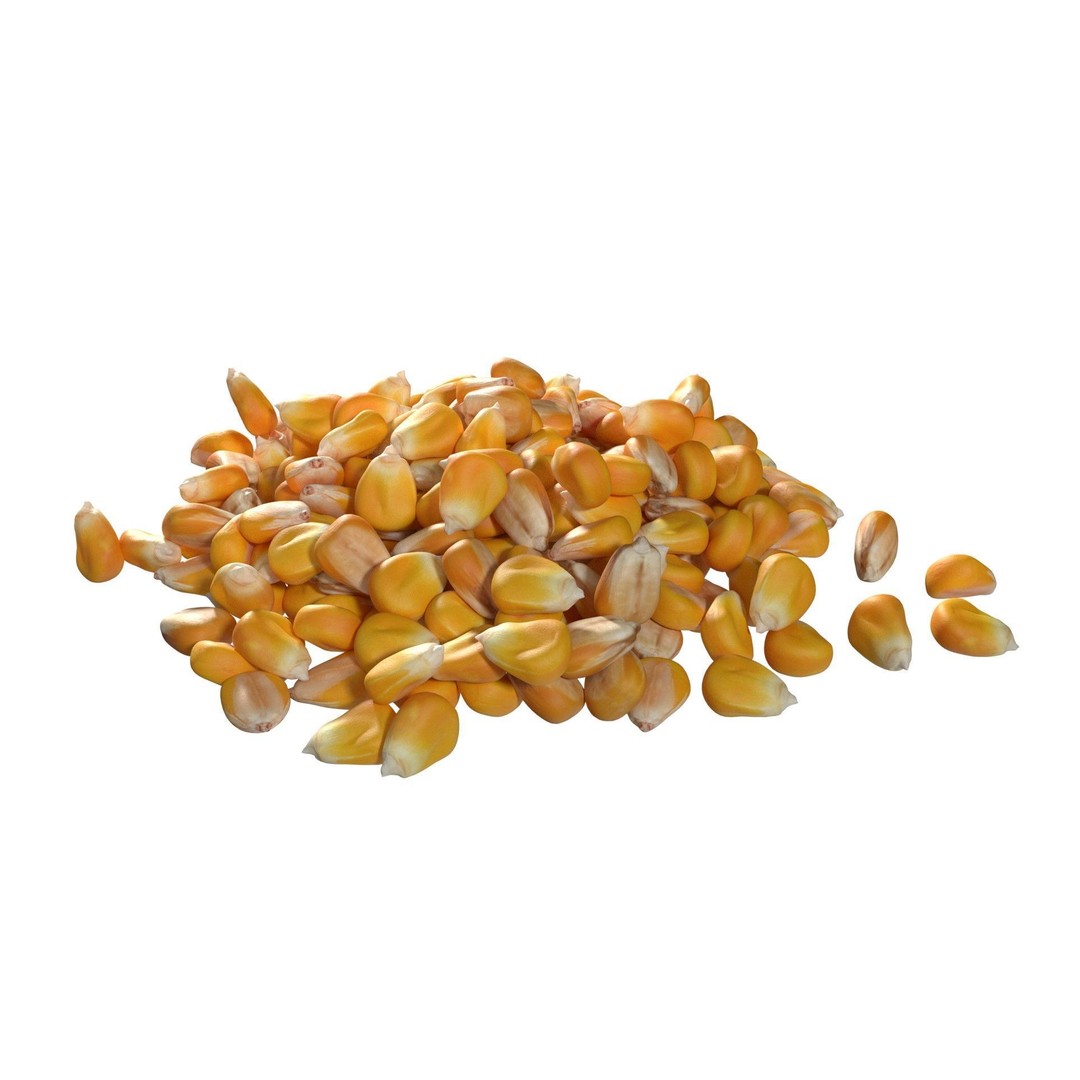 Coriander Seed Pile 3D Model – Low Poly Game Asset, Blender, FBX, OBJ - View 4