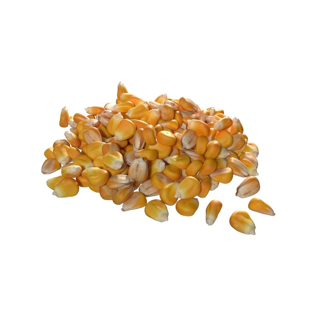 Coriander Seed Pile 3D Model – Low Poly Game Asset, Blender, FBX, OBJ - View 5