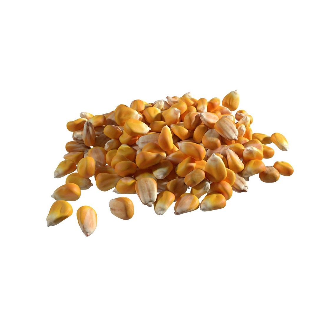 Coriander Seed Pile 3D Model – Low Poly Game Asset, Blender, FBX, OBJ - View 6