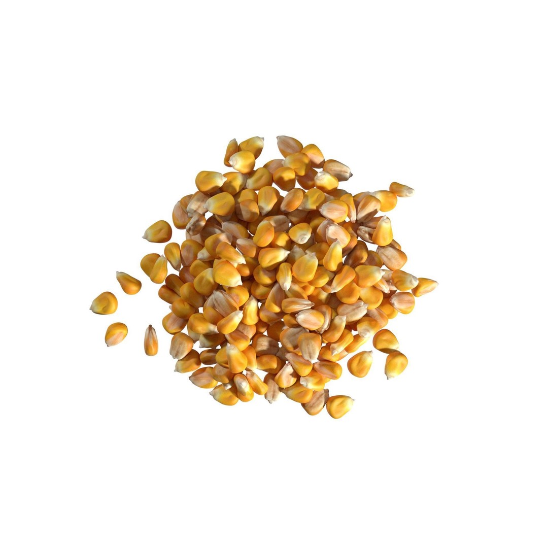 Coriander Seed Pile 3D Model – Low Poly Game Asset, Blender, FBX, OBJ - View 7