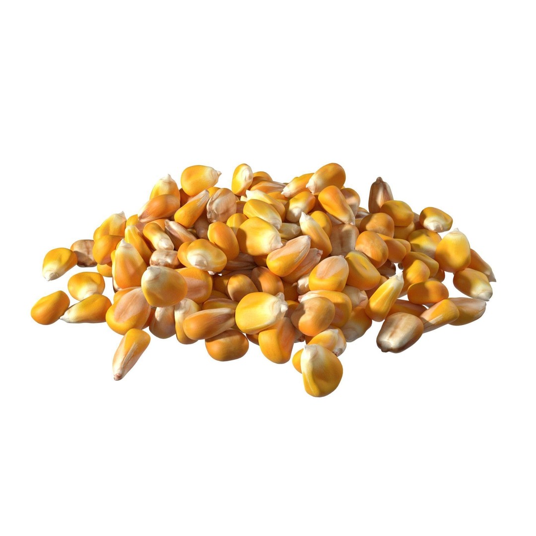 Coriander Seed Pile 3D Model – Low Poly Game Asset, Blender, FBX, OBJ - View 8