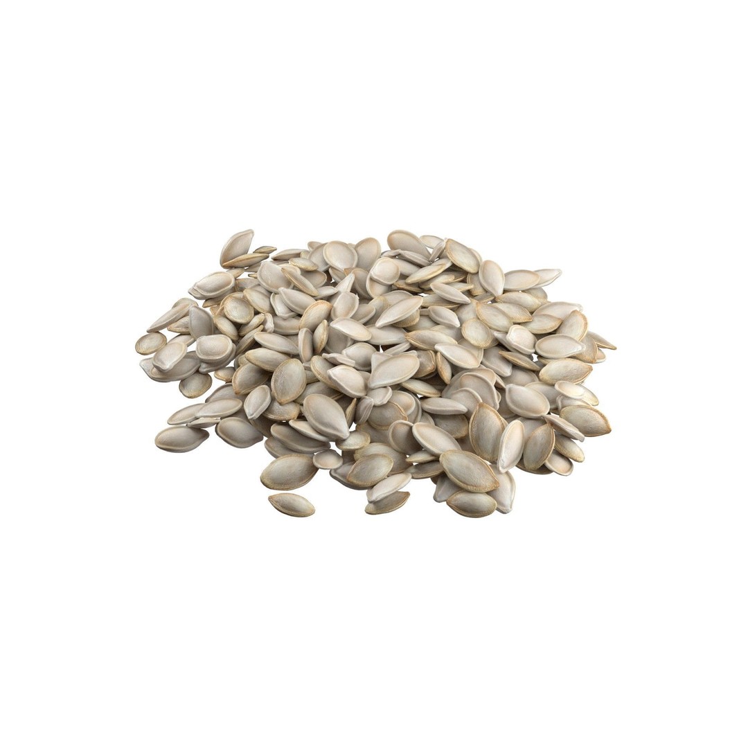 Pumpkin Seeds 3D Model – Low Poly Collection, Blender, FBX, OBJ - View 10