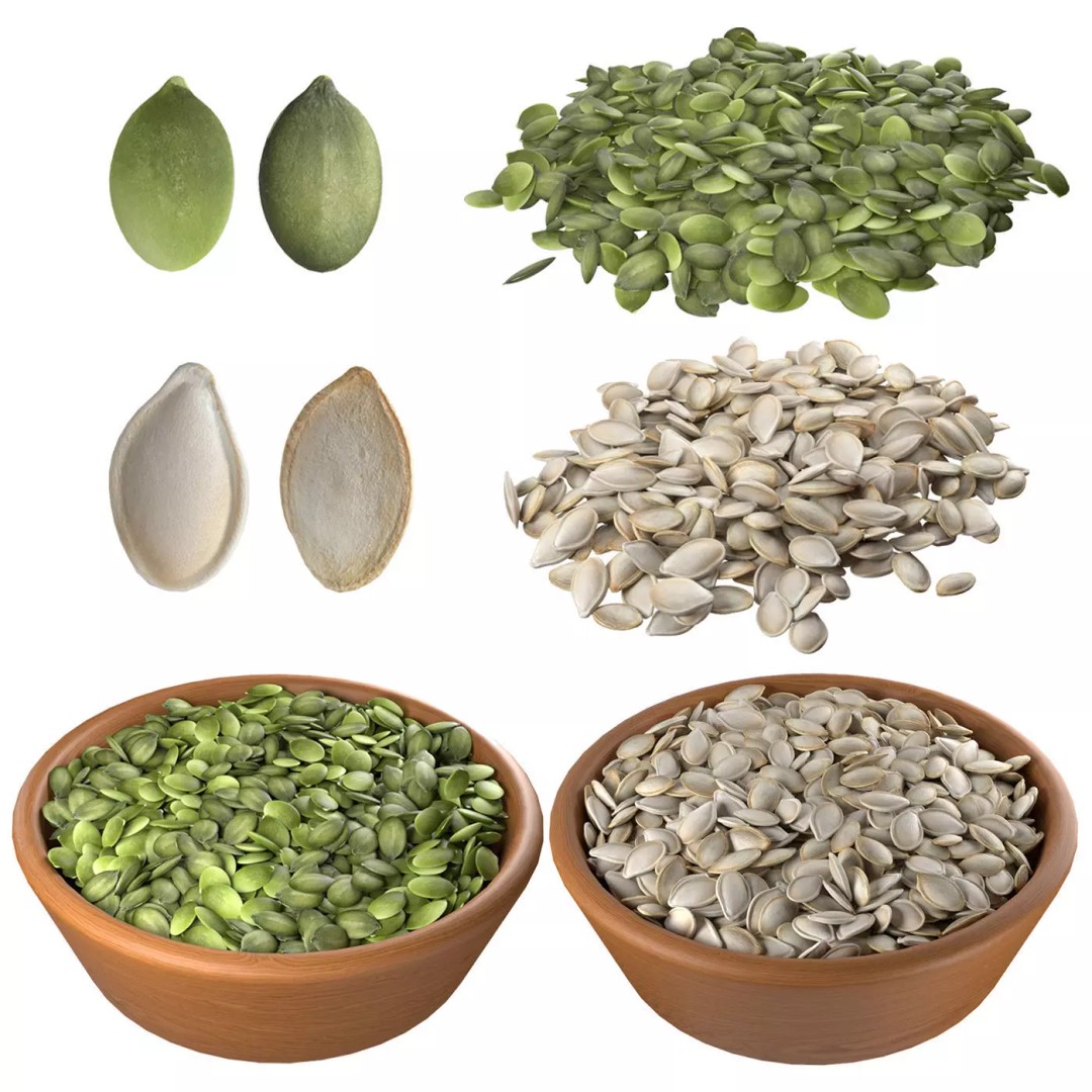 Pumpkin Seeds 3D Model – Low Poly Collection, Blender, FBX, OBJ - View 2