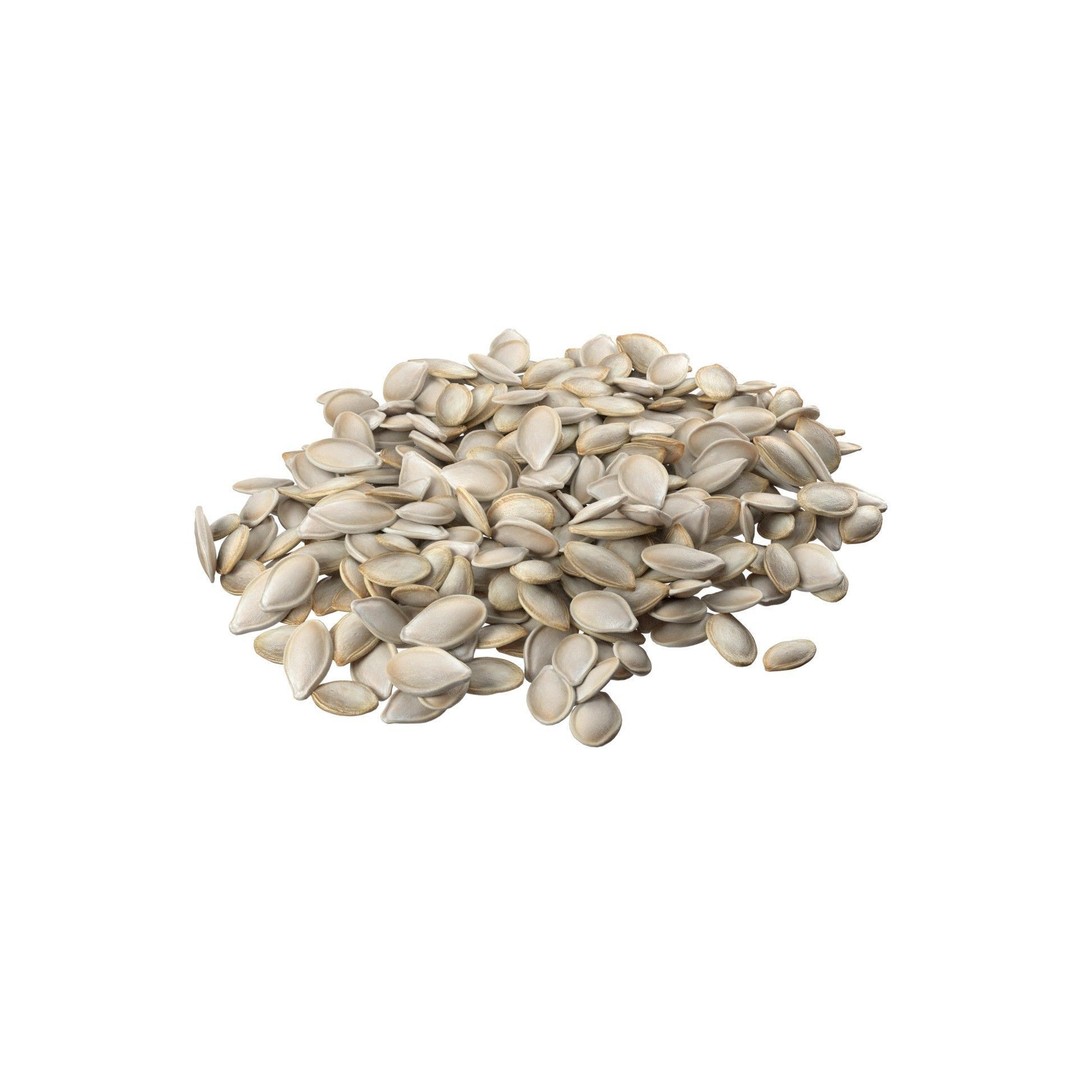 Pumpkin Seeds 3D Model – Low Poly Collection, Blender, FBX, OBJ - View 4