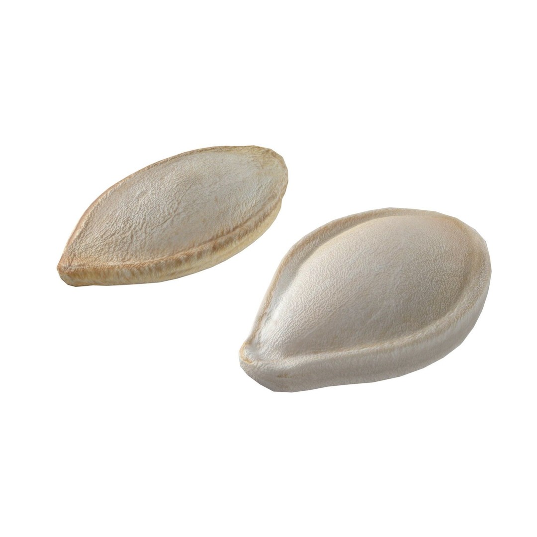 Pumpkin Seeds 3D Model – Low Poly Collection, Blender, FBX, OBJ - View 9