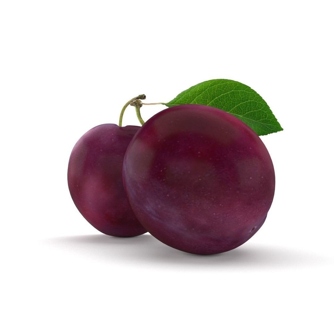 Plum 3D Model – Realistic Fruit Asset, PBR Textures, FBX, OBJ - View 6