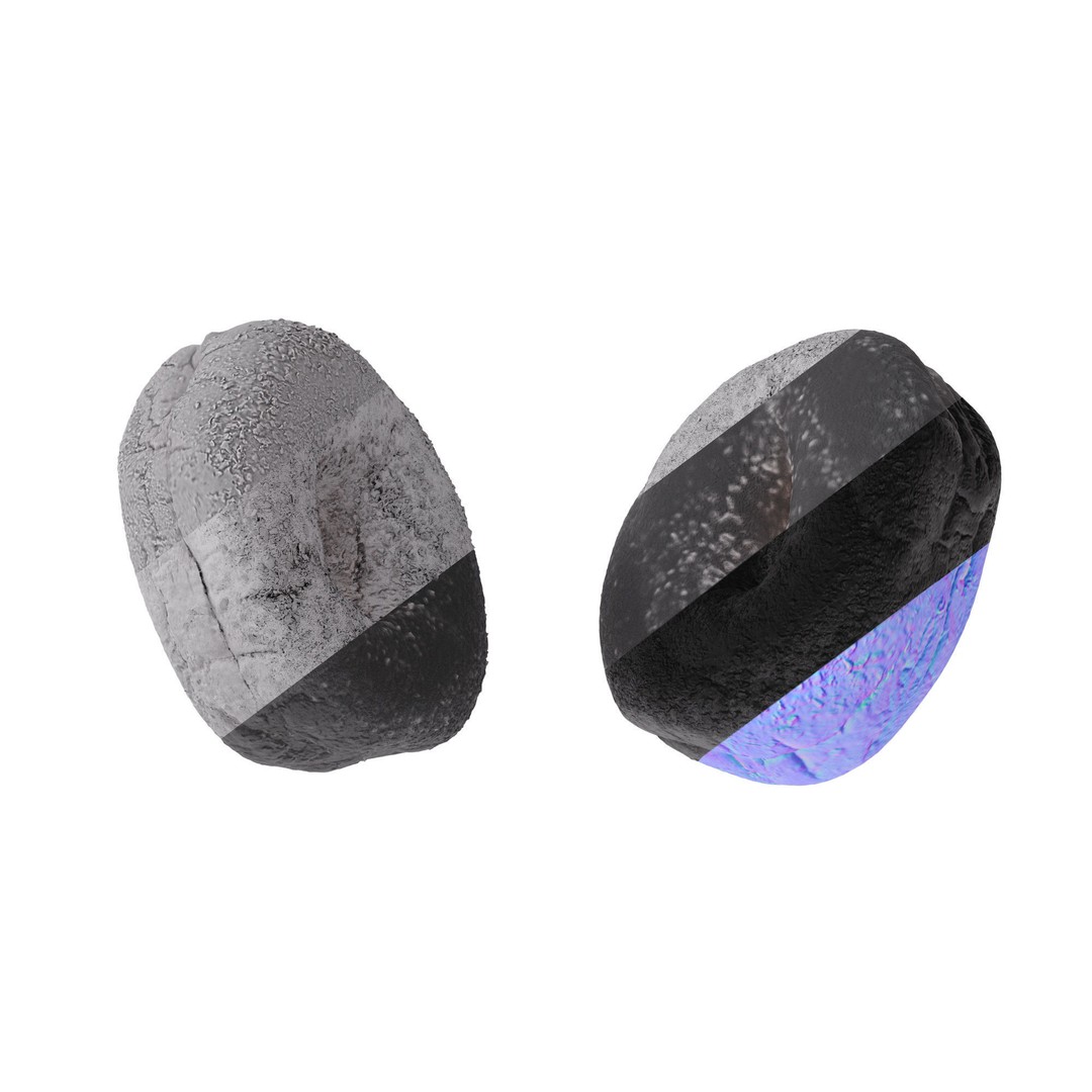 Whole Wheat Bagel 3D Model – Low Poly Photogrammetry Asset, FBX/OBJ