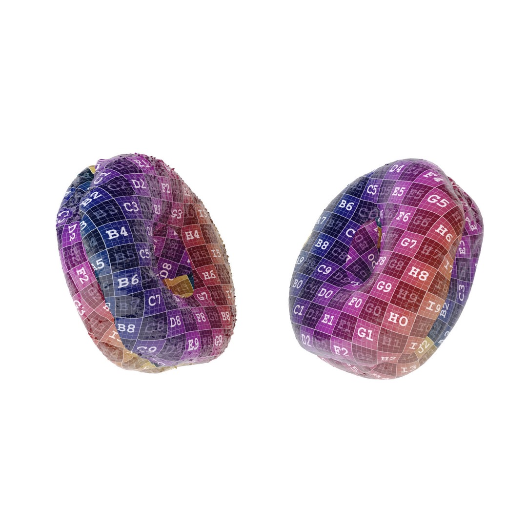 Whole Wheat Bagel 3D Model – Low Poly Photogrammetry Asset, FBX/OBJ - View 17