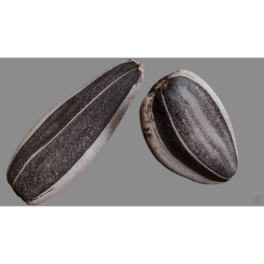 Sunflower Seed 3D Model – Photorealistic Asset with PBR Textures
