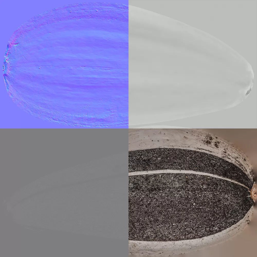 Sunflower Seed 3D Model – Photorealistic Asset with PBR Textures - View 10