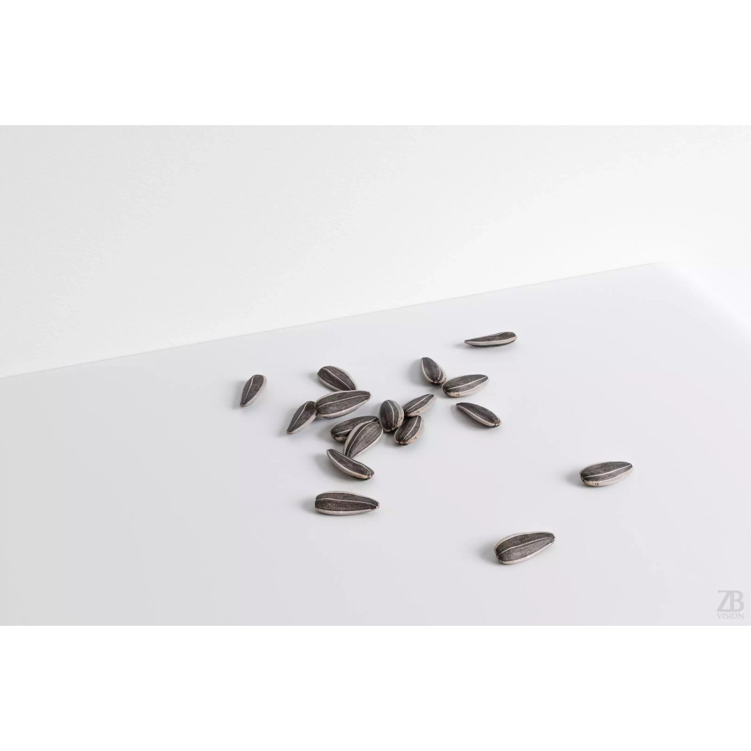 Sunflower Seed 3D Model – Photorealistic Asset with PBR Textures - View 2