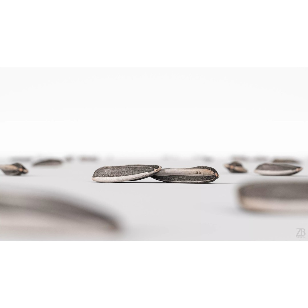 Sunflower Seed 3D Model – Photorealistic Asset with PBR Textures - View 3