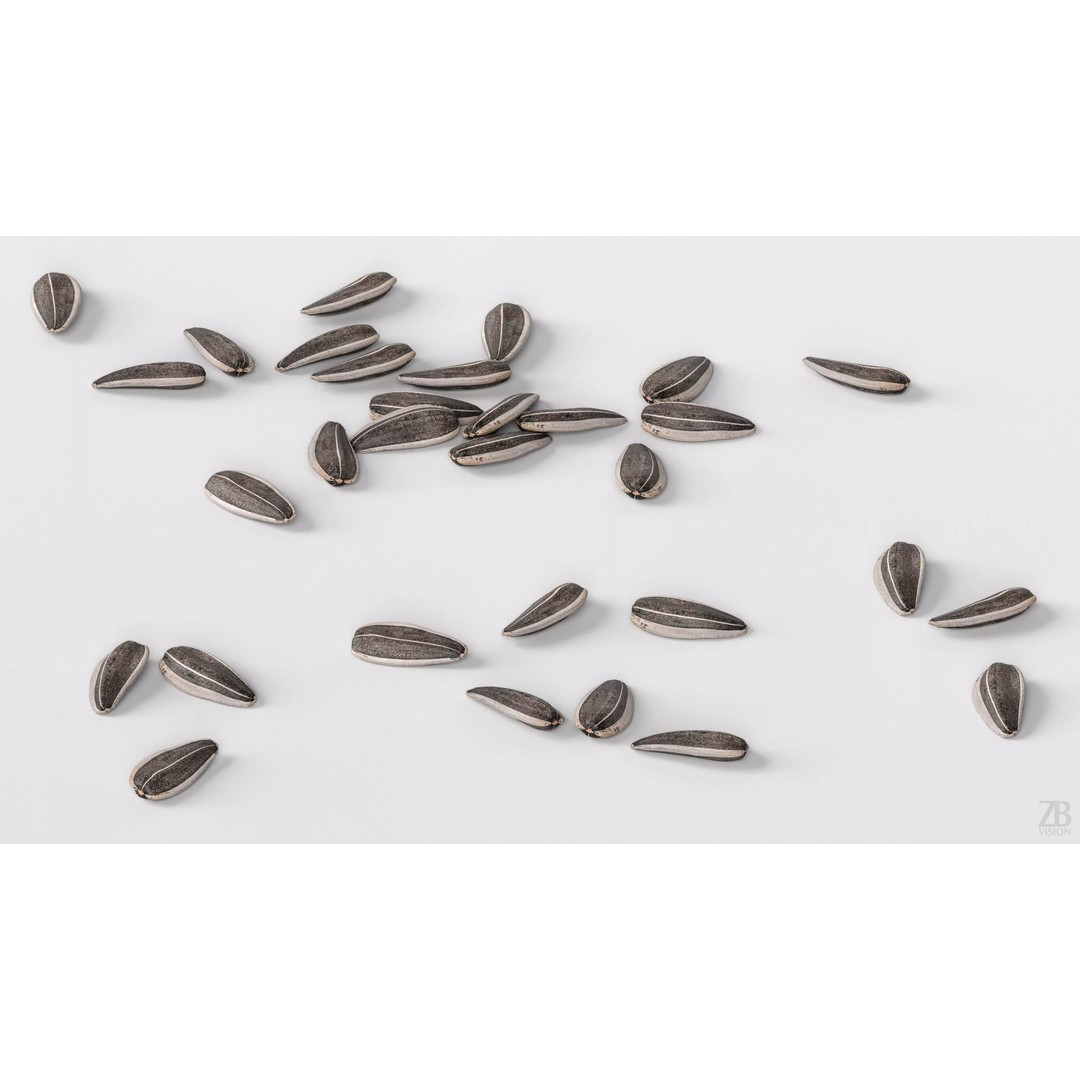 Sunflower Seed 3D Model – Photorealistic Asset with PBR Textures - View 4