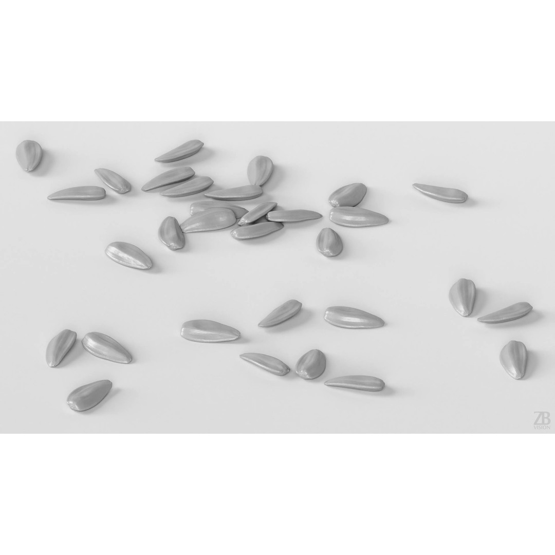Sunflower Seed 3D Model – Photorealistic Asset with PBR Textures - View 5