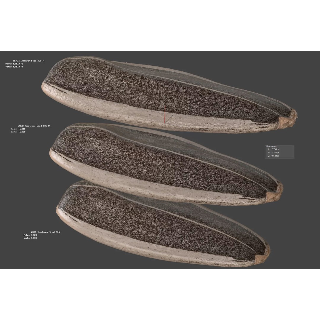 Sunflower Seed 3D Model – Photorealistic Asset with PBR Textures - View 7