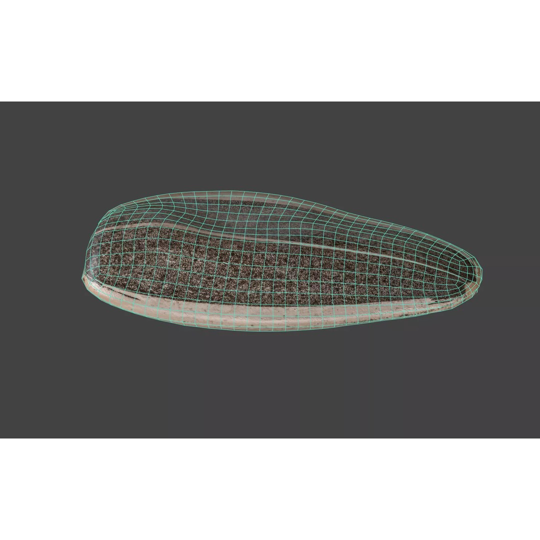 Sunflower Seed 3D Model – Photorealistic Asset with PBR Textures - View 8