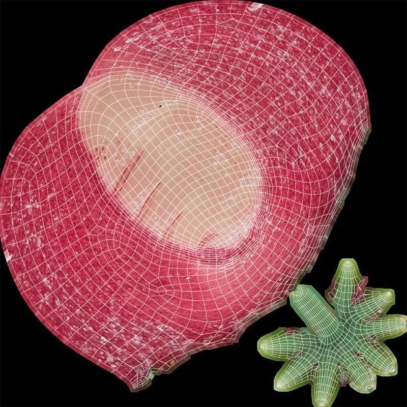 Sugar Strawberry 3D Model – Low Poly Game Asset, FBX, Blender - View 16