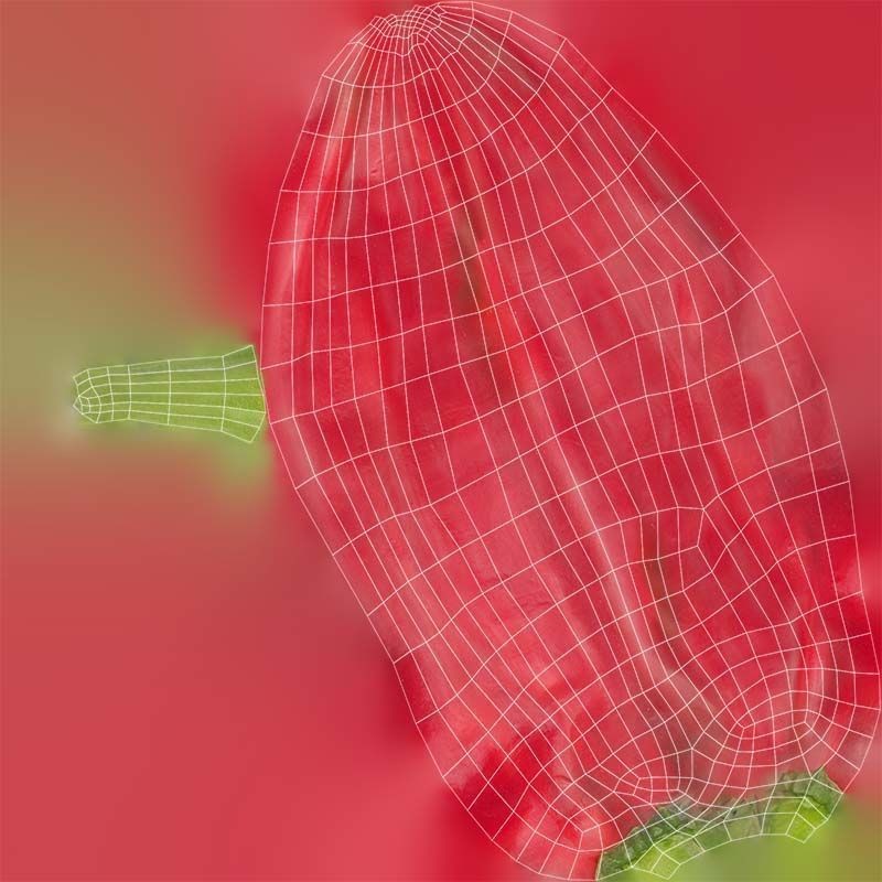 Chili Pepper 3D Model – Low Poly Game Asset, FBX, Blender - View 16