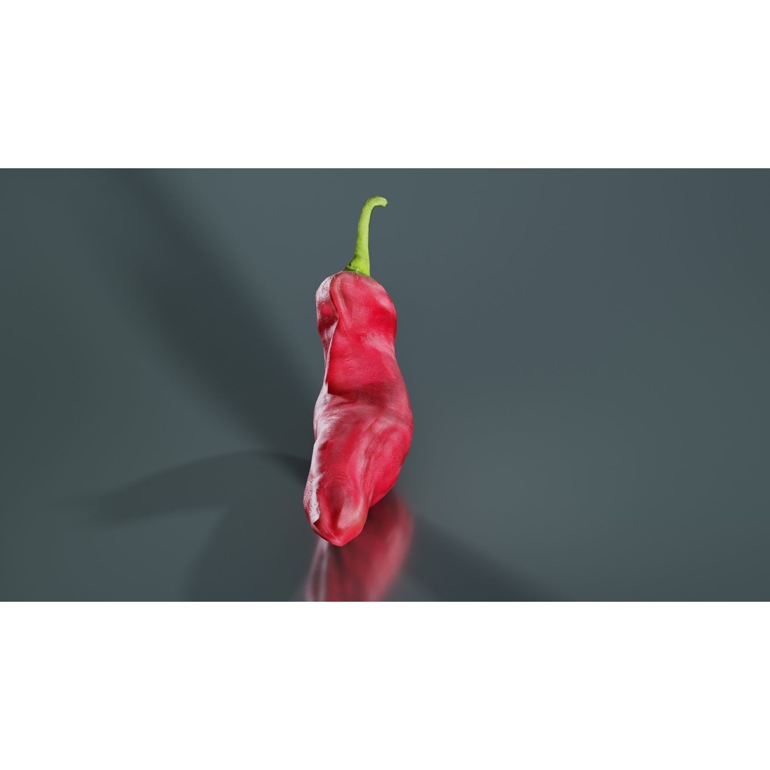 Chili Pepper 3D Model – Low Poly Game Asset, FBX, Blender - View 7