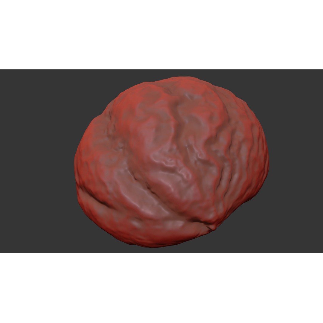 Chestnut 3D Model – Photorealistic Food Asset, FBX, OBJ - View 9