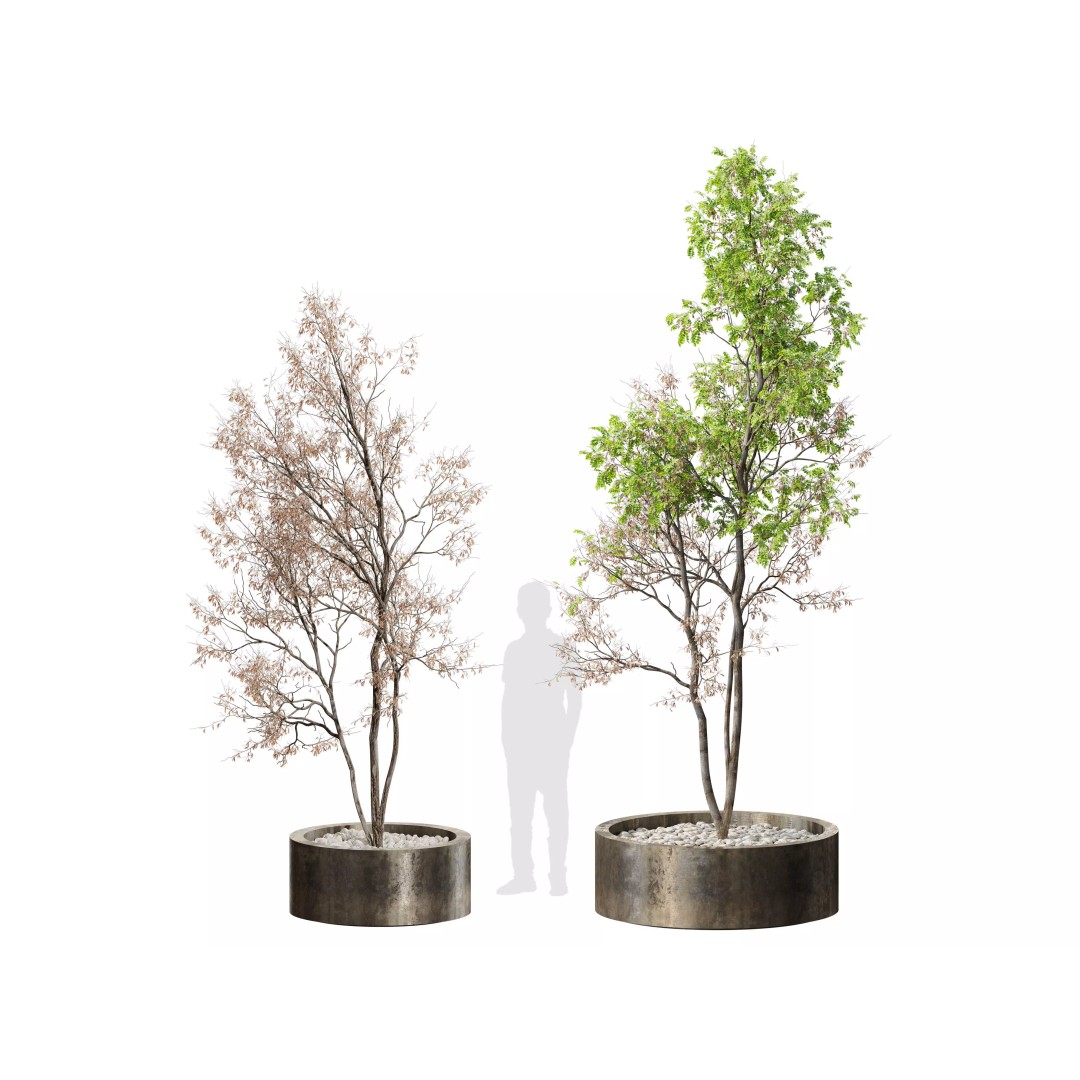 Tree Planter 3D Model – High Poly Pot Plant with Textures - View 2