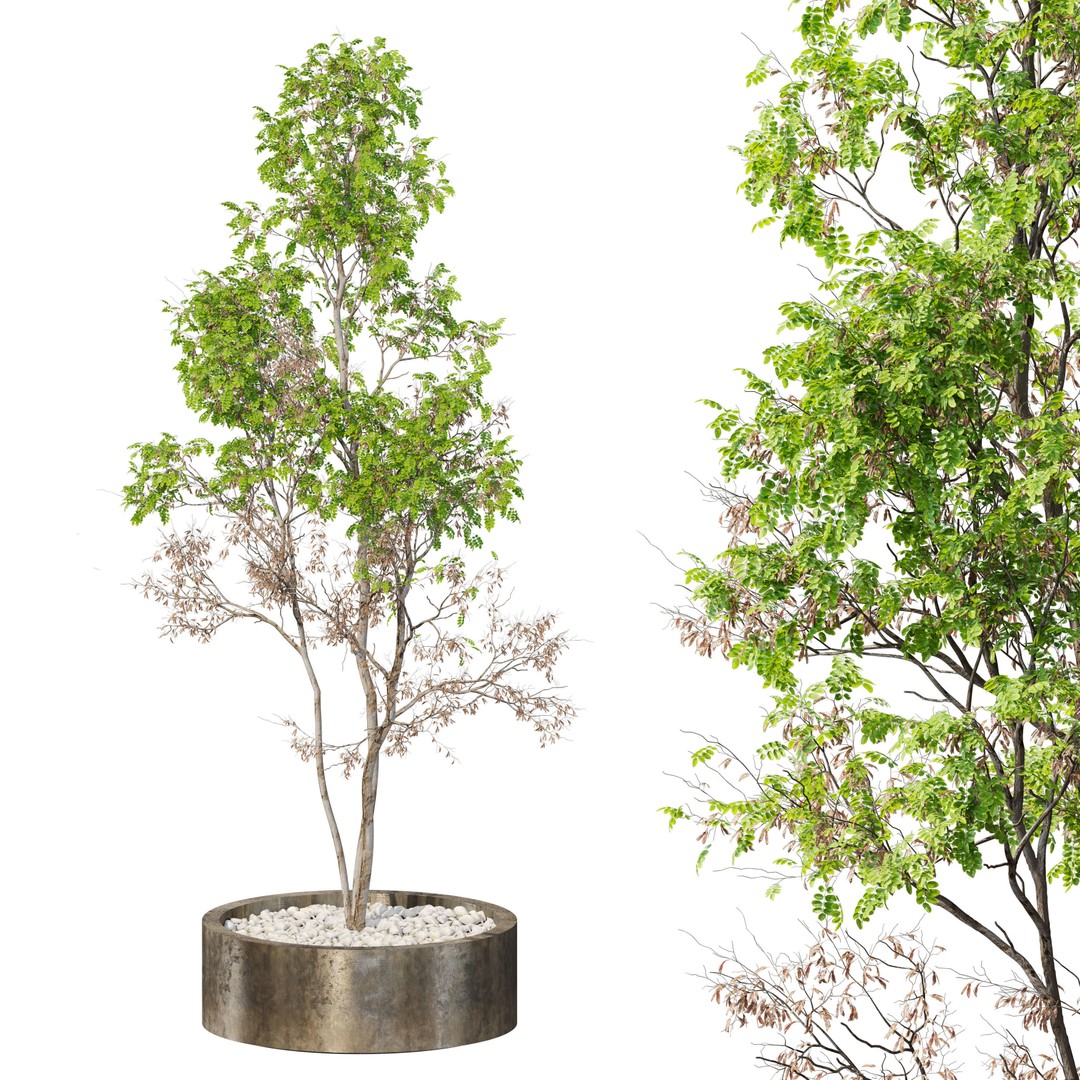 Tree Planter 3D Model – High Poly Pot Plant with Textures - View 3