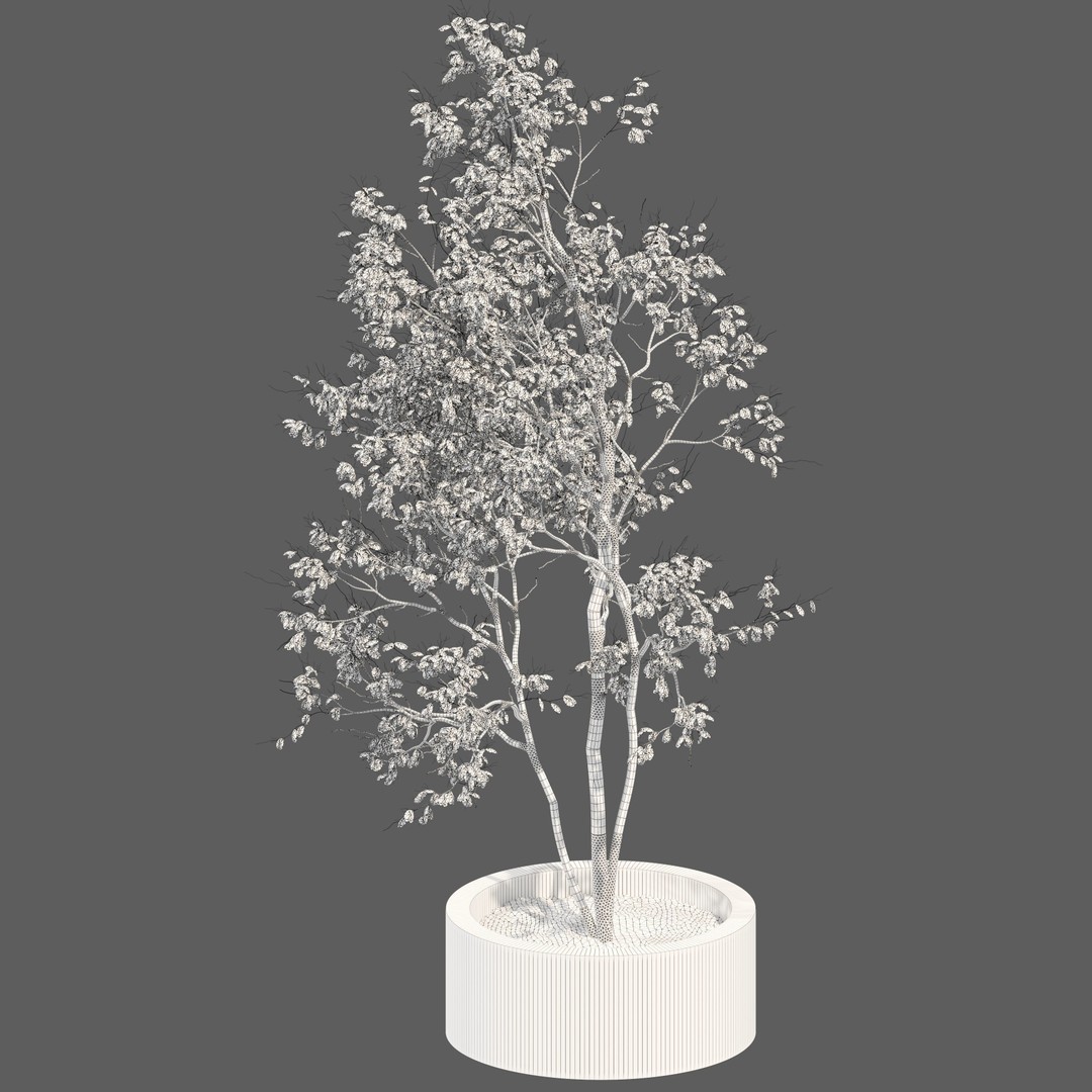 Tree Planter 3D Model – High Poly Pot Plant with Textures - View 4