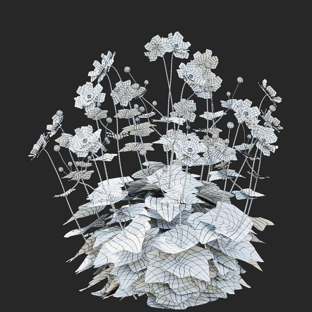 Anemona Hybrida Flower 3D Model – High Poly PBR Asset, FBX, OBJ