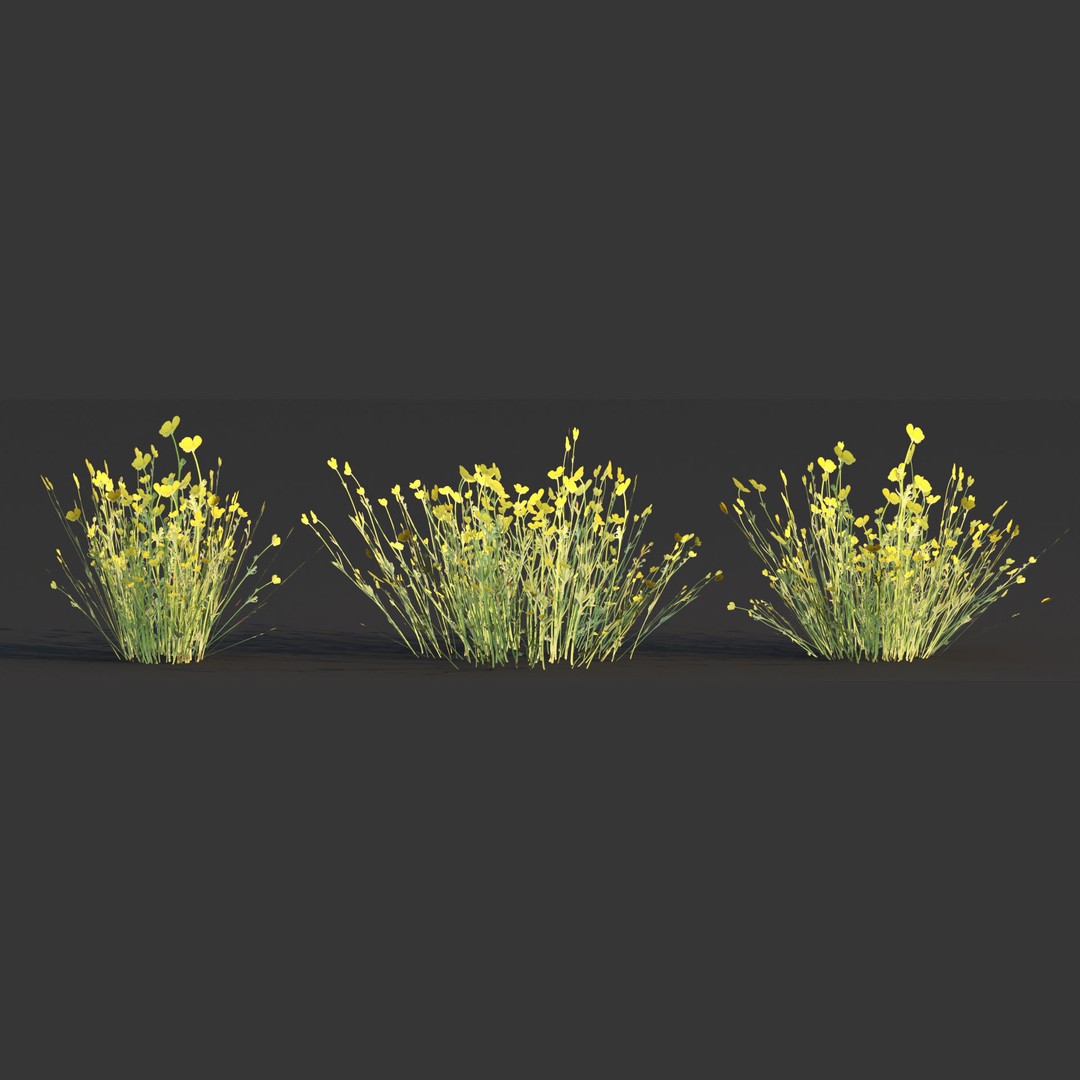 Wild Grass 3D Model – Low Poly Game Asset, PBR Textures, FBX