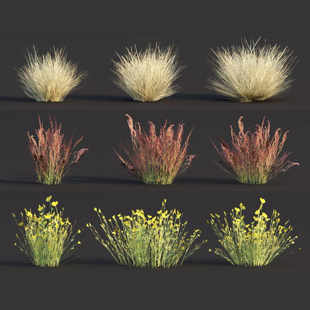 Wild Grass 3D Model – Low Poly Game Asset, PBR Textures, FBX - View 2