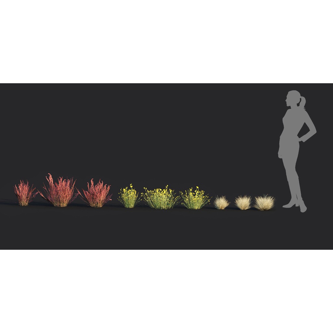Wild Grass 3D Model – Low Poly Game Asset, PBR Textures, FBX - View 3
